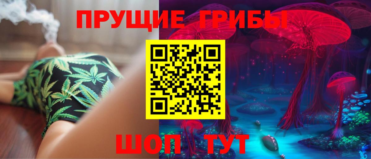 Псилоцибиновые грибы MAGIC MUSHROOMS  Вход с VPN  Сухой Лог  Псилоцибиновые грибы Cubensis 
